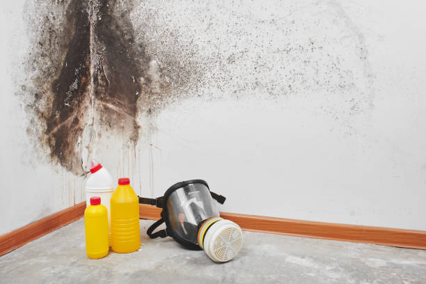 Melville, RI Mold Removal Company