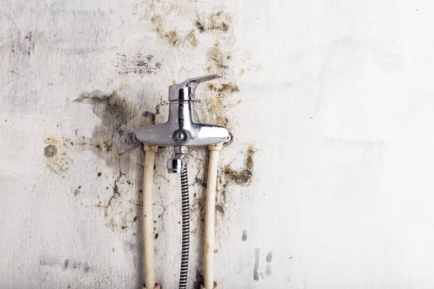 Best Mold Cleaning Services  in Melville, RI