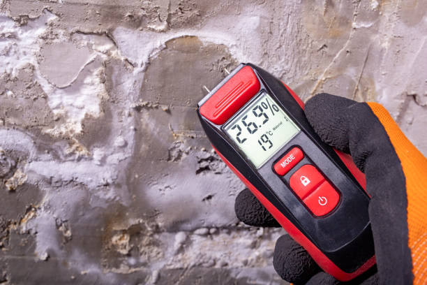 Best Professional Mold Removal  in Melville, RI