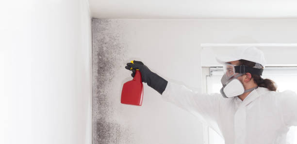Best Mold Testing  in Melville, RI