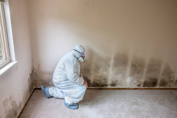 Best Crawl Space Mold Removal  in Melville, RI