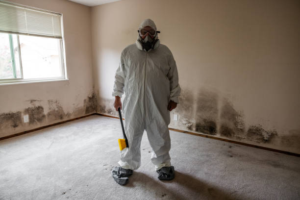 Best Certified Mold Removal  in Melville, RI